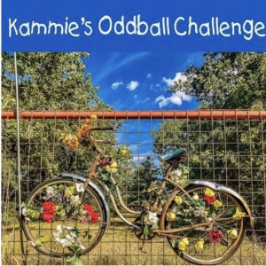 Kammie's Oddball Challenge